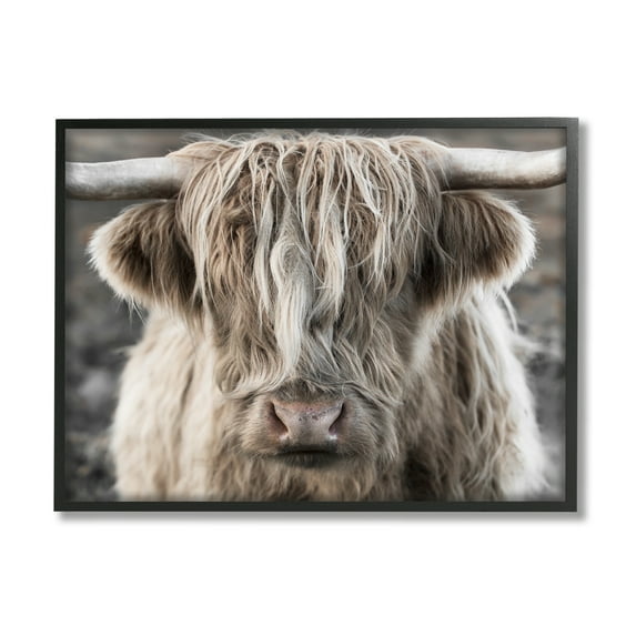Stupell Industries Detailed Highlands Cattle Rural Farm Animal Photography Photograph Black Framed Art Print Wall Art, Design by Danita Delimont