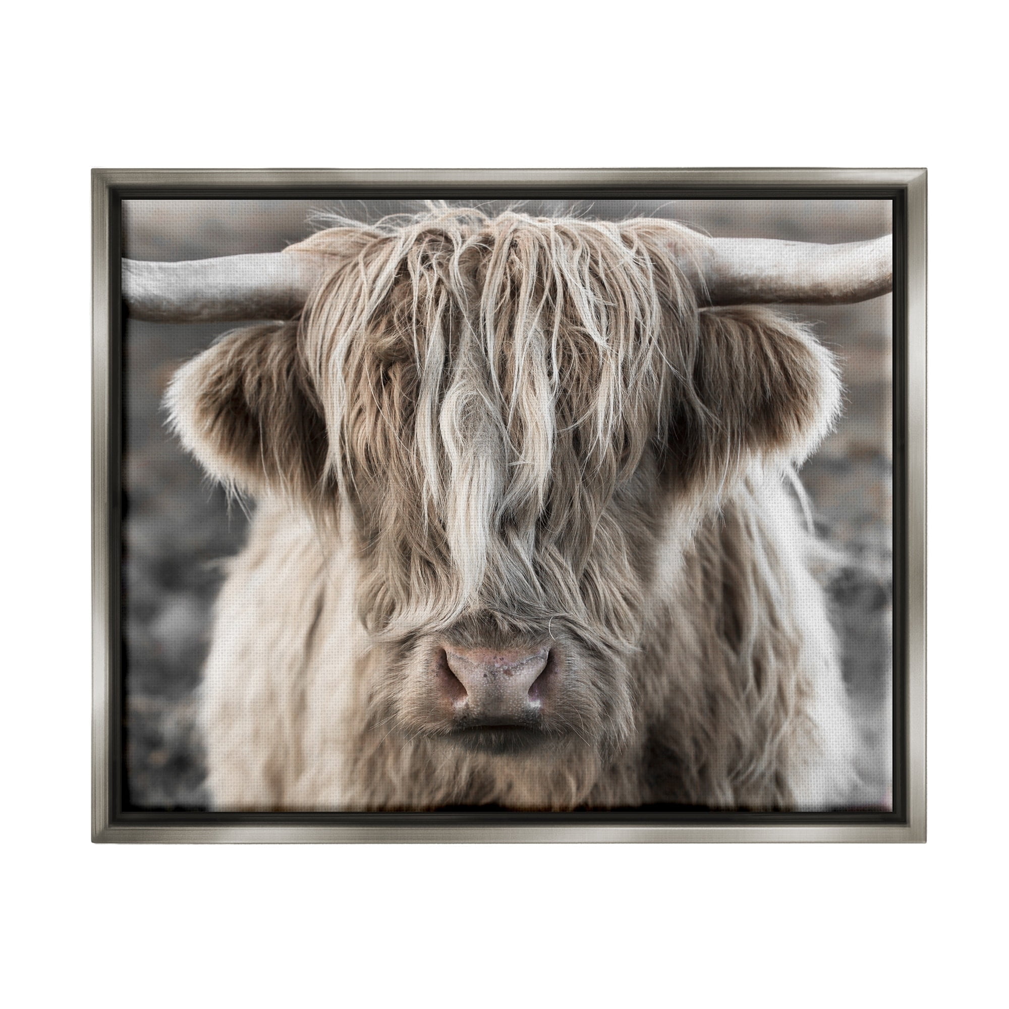 Stupell Industries Detailed Highlands Cattle Rural Farm Animal Photography Photograph Luster Gray Floating Framed Canvas Print Wall Art, Design by Danita Delimont