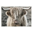 thumbnail image 1 of Stupell Industries Detailed Highlands Cattle Rural Farm Animal Photography Photograph Unframed Art Print Wall Art, Design by Danita Delimont, 1 of 5