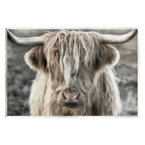Stupell Industries Detailed Highlands Cattle Rural Farm Animal Photography Photograph Unframed Art Print Wall Art, Design by Danita Delimont