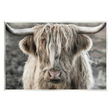 Stupell Industries Detailed Highlands Cattle Rural Farm Animal Photography Photograph Unframed Art Print Wall Art, Design by Danita Delimont
