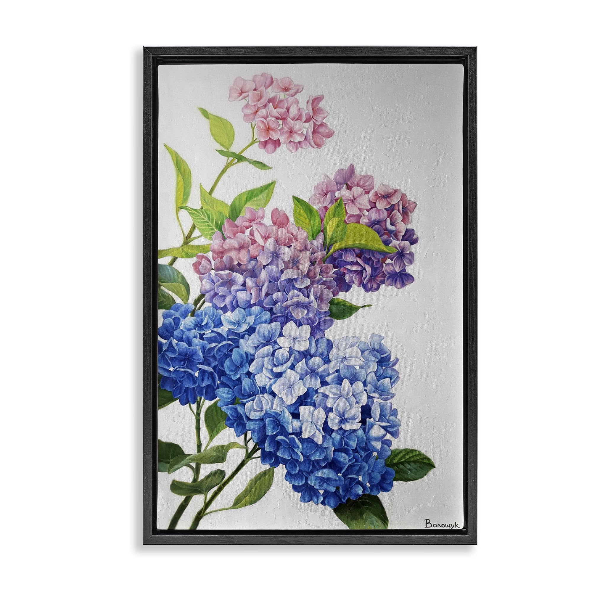 Stupell Industries Detailed Hydrangea Gradient Botanical & Floral Painting Black Floater Framed Art Print Wall Art, 21 x 31