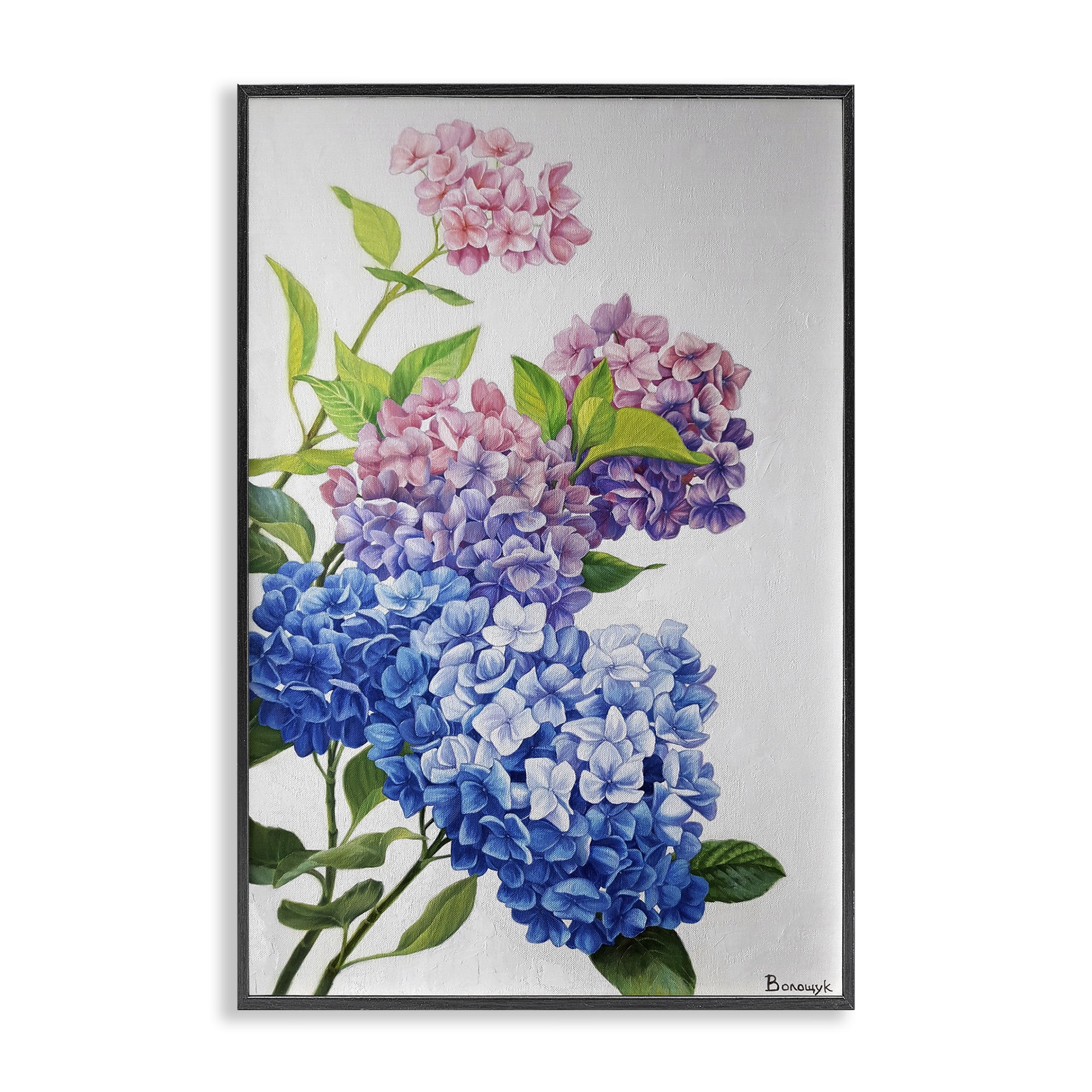 Stupell Industries Detailed Hydrangea Gradient Botanical & Floral Painting Black Framed Art Print Wall Art, 12 x 18