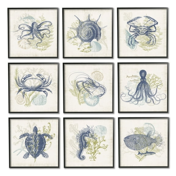 Stupell Industries Detailed Marine Life Underwater Animals Octopus Turtles Graphic Art Black Framed Art Print Wall Art, Set of 9, Design by Victoria Barnes