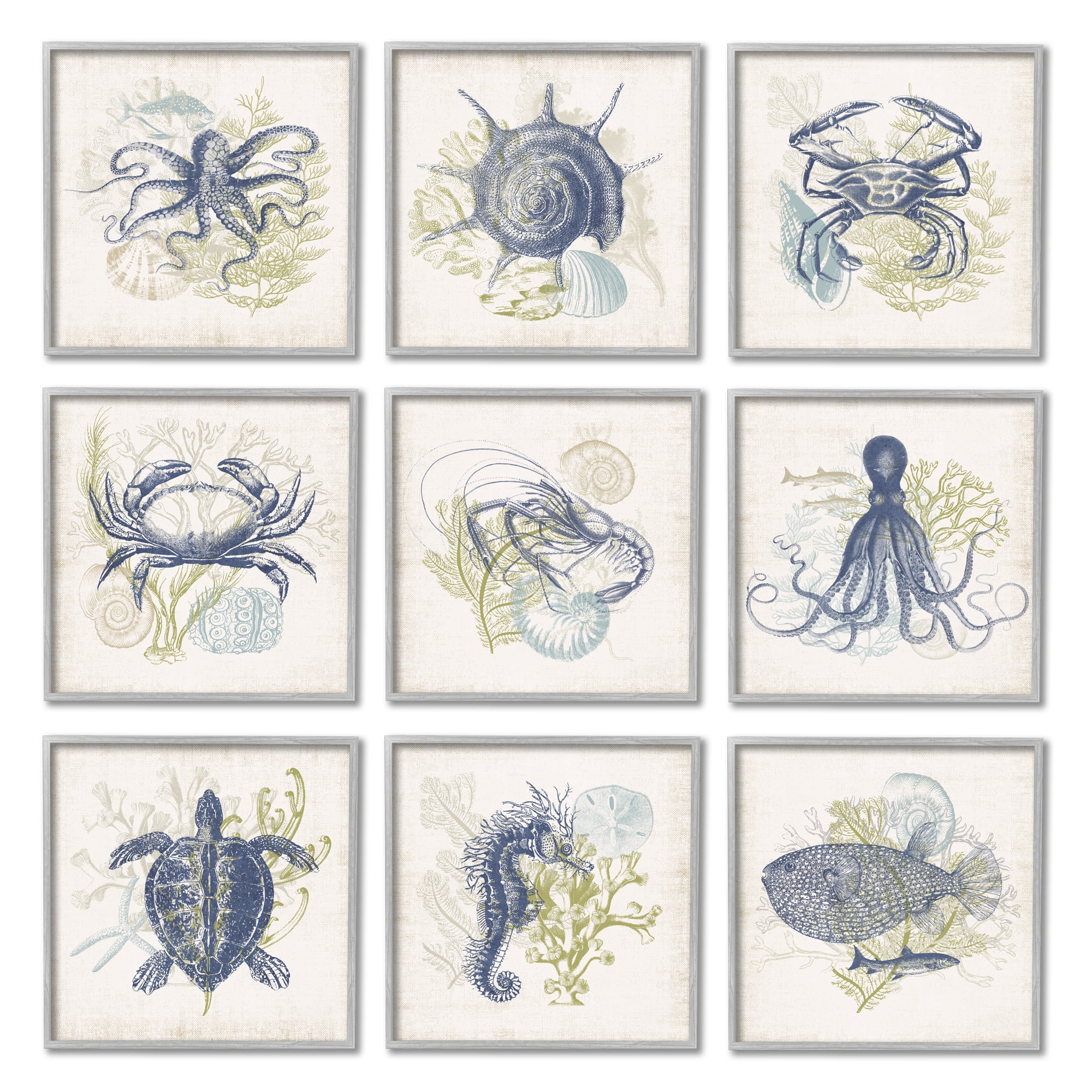 Stupell Industries Detailed Marine Life Underwater Animals Octopus Turtles Graphic Art Gray Framed Art Print Wall Art, Set of 9, Design by Victoria Barnes