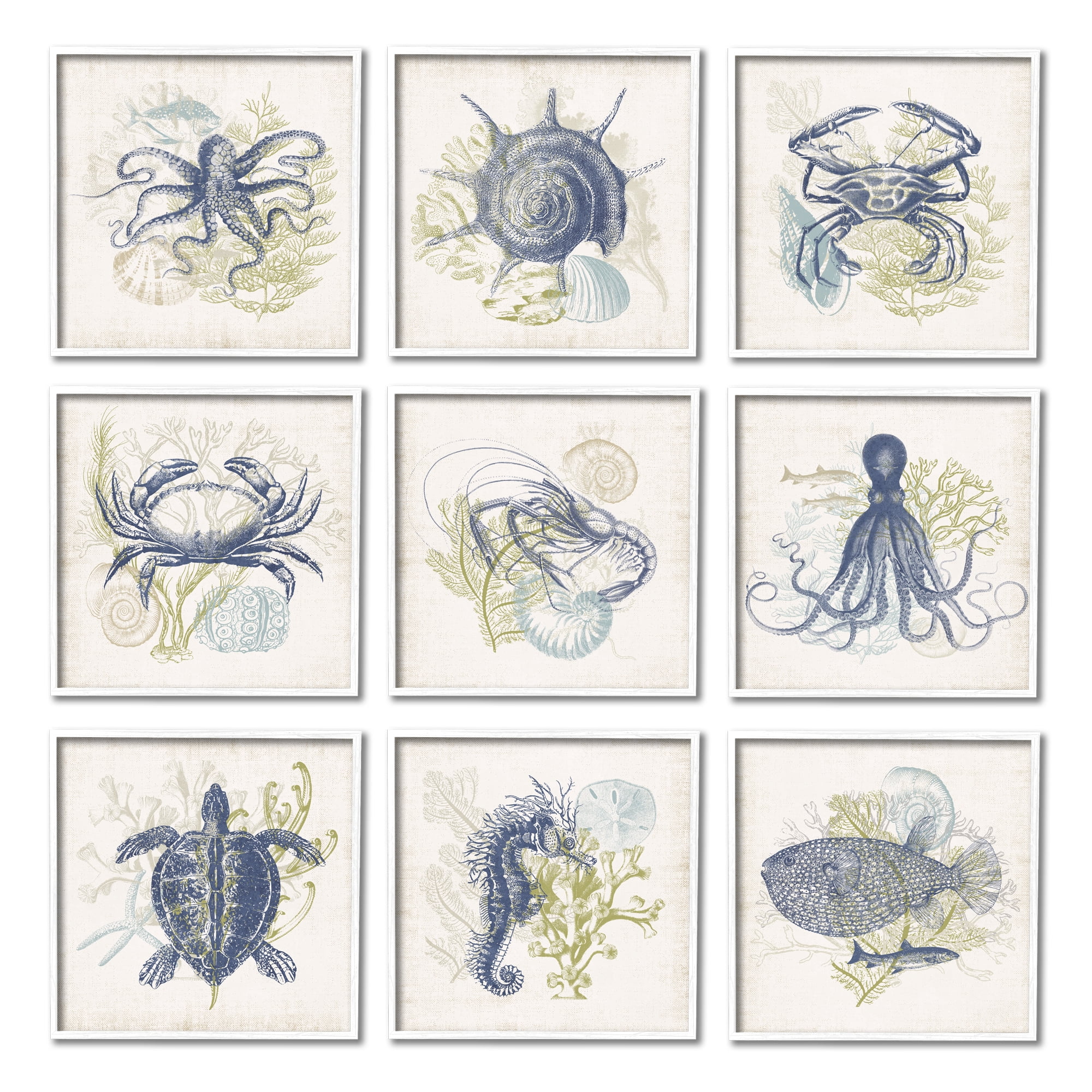 Stupell Industries Detailed Marine Life Underwater Animals Octopus Turtles Graphic Art White Framed Art Print Wall Art, Set of 9, Design by Victoria Barnes