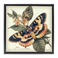 thumbnail image 1 of Stupell Industries Traditional Black Floating Frame Canvas Art, 18 x 18, by Steve Hunziker, 1 of 8
