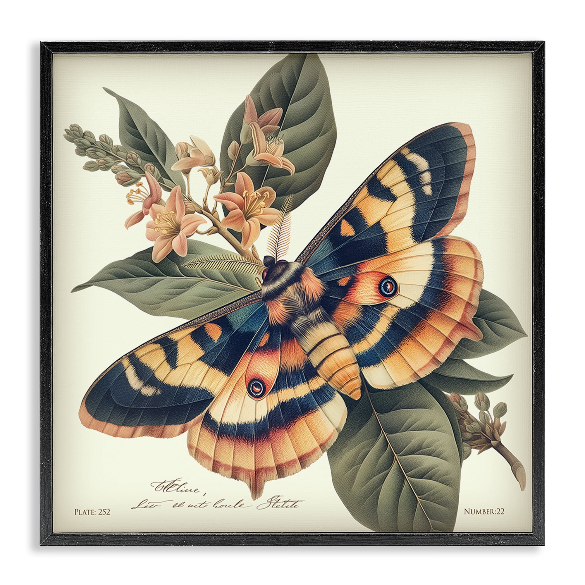 Stupell Industries Detailed Moth & Lilies Animals Painting Black Framed Art Print Wall Art, 24 x 24