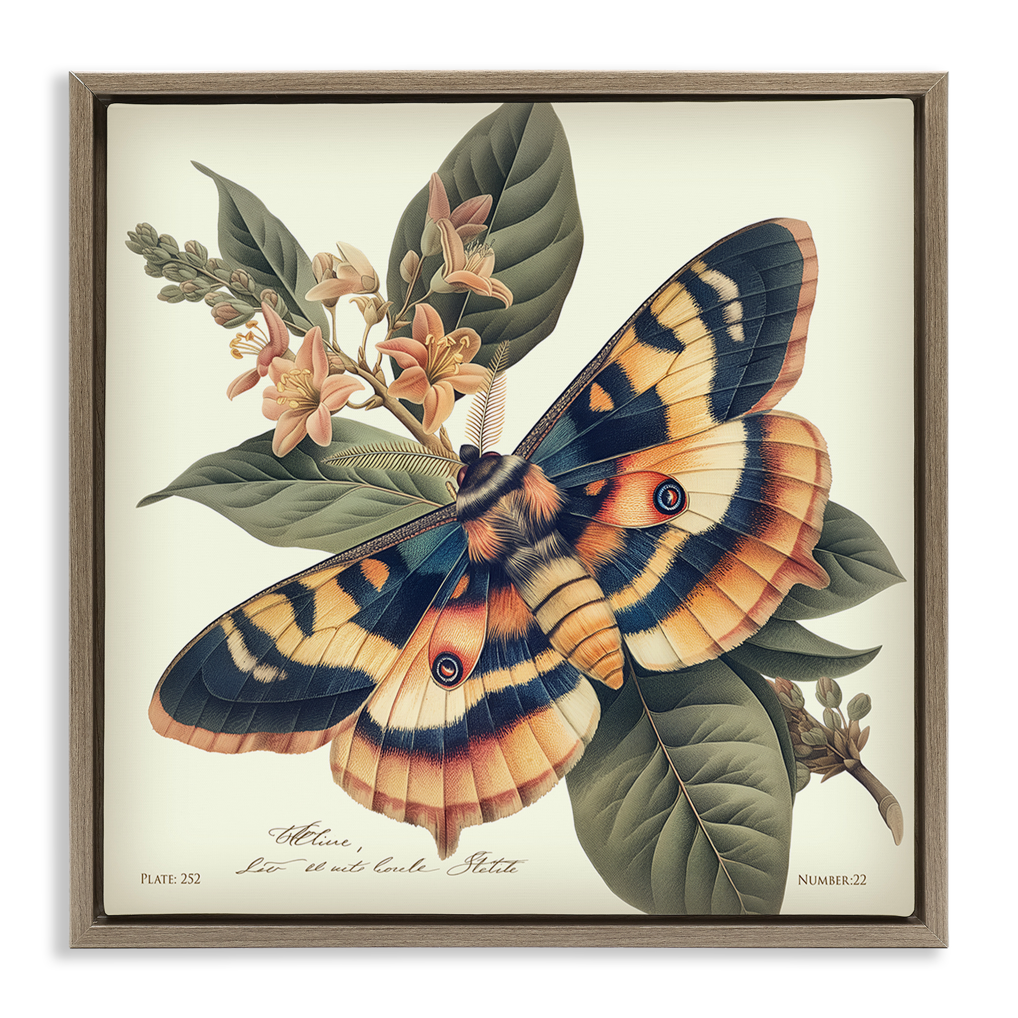 Stupell Industries Detailed Moth & Lilies Animals Painting Brown Floater Framed Canvas Art Print Wall Art, 18 x 18