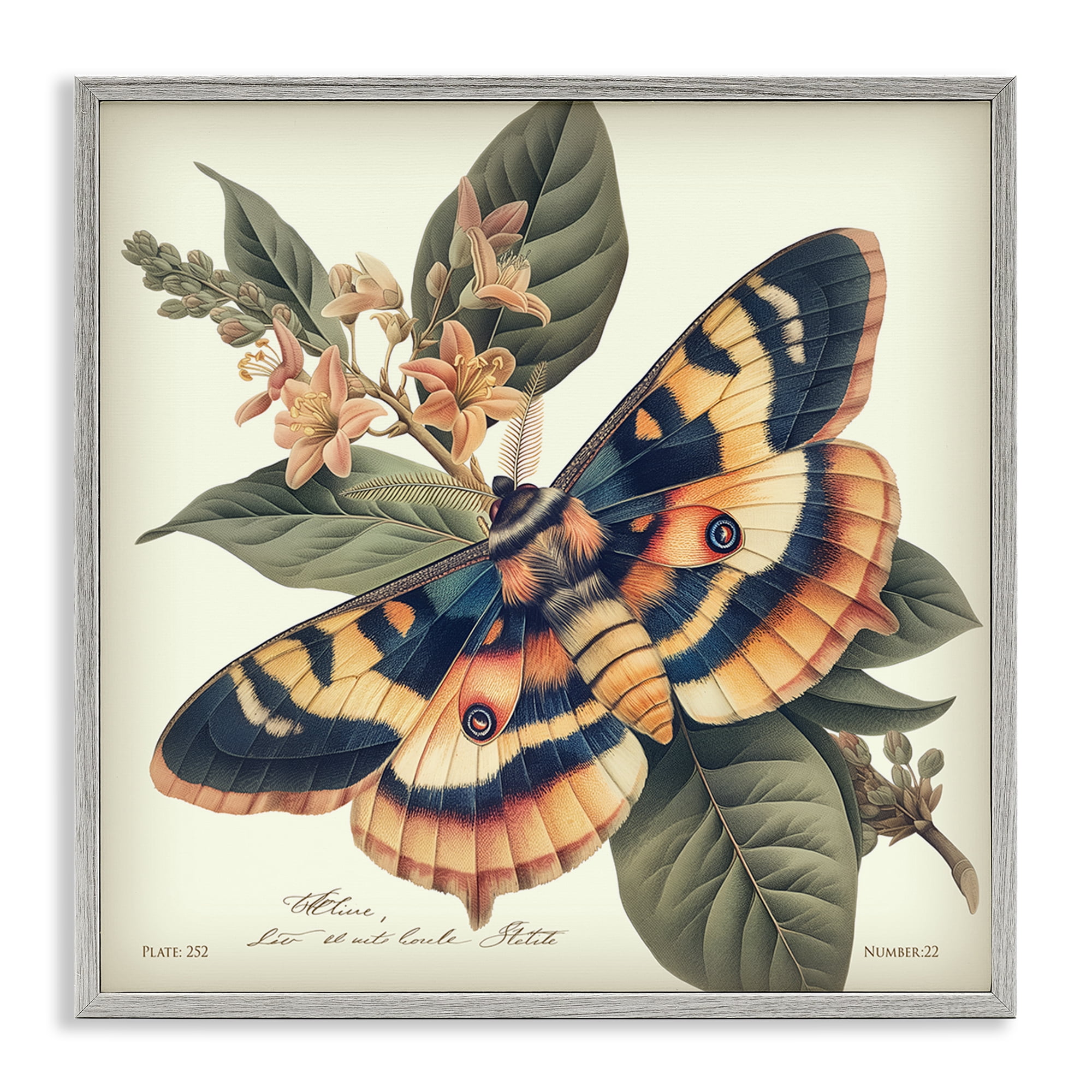 Stupell Industries Detailed Moth & Lilies Animals Painting Gray Framed Art Print Wall Art, 12 x 12
