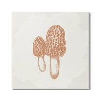 Stupell Industries Detailed Mushroom Latin Study Drawing Graphic Art Gallery Wrapped Canvas Print Wall Art, Design by Kim Allen