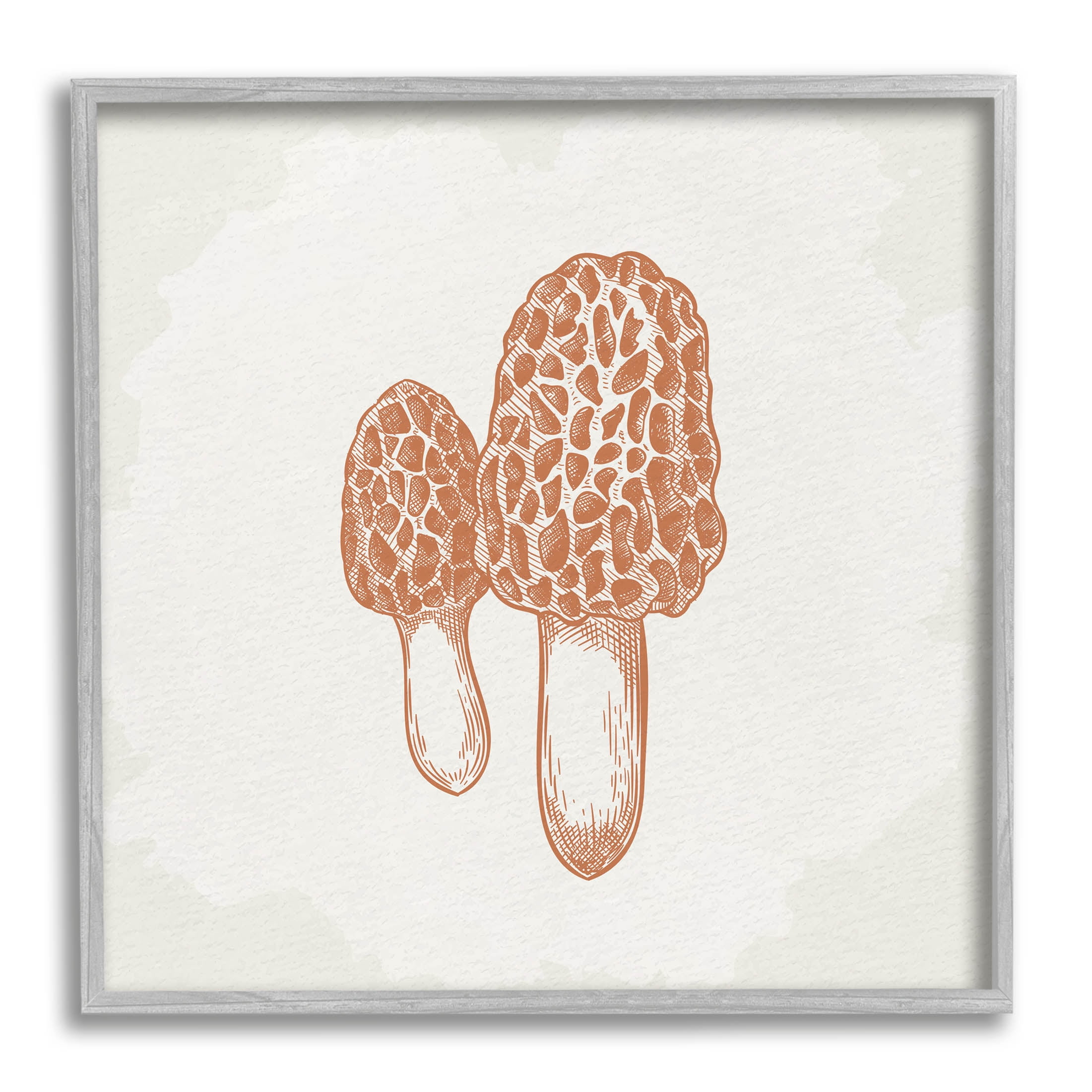 Stupell Industries Detailed Mushroom Latin Study Drawing Graphic Art Gray Framed Art Print Wall Art, Design by Kim Allen