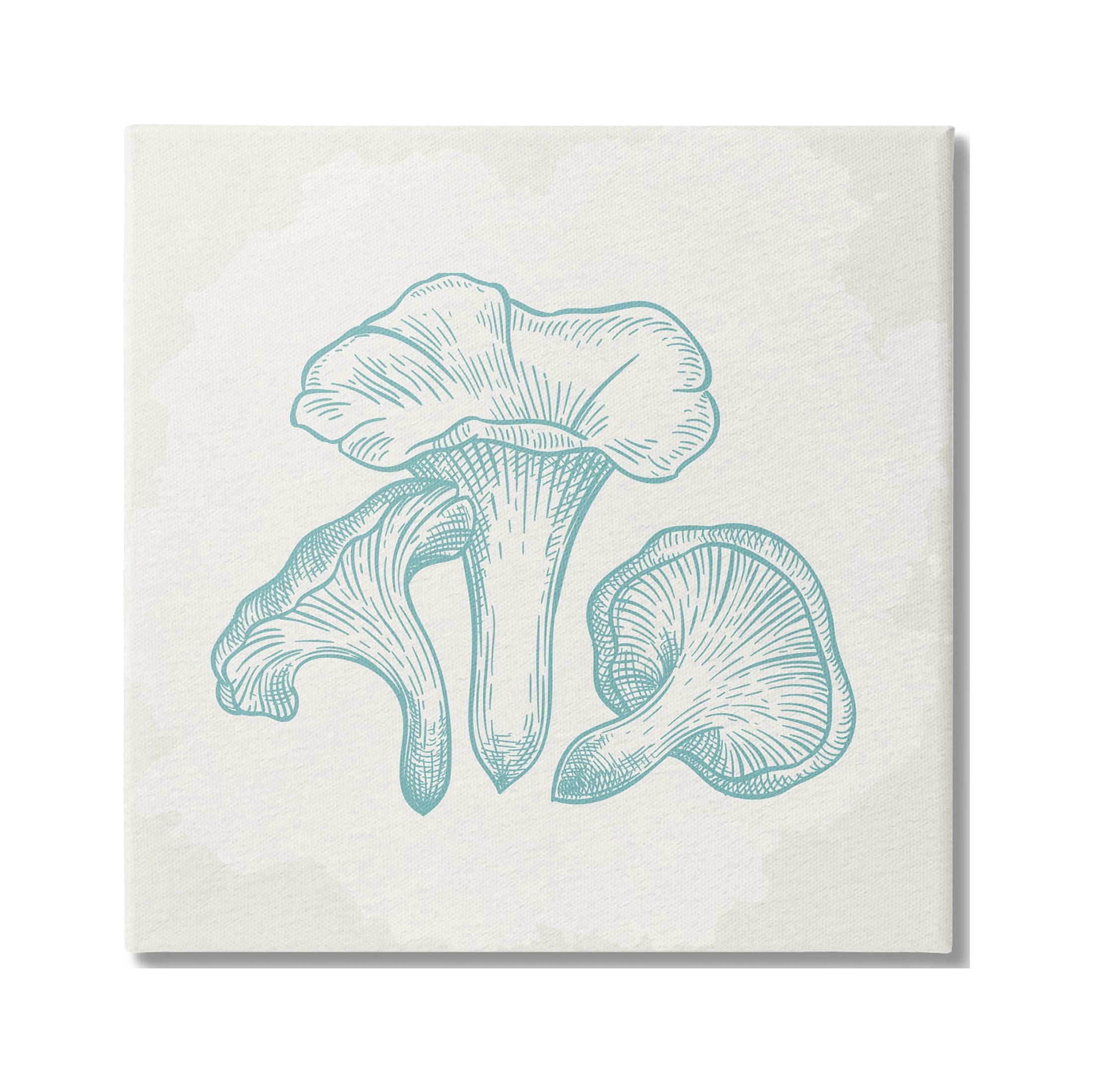 Stupell Industries Detailed Mushroom Specimen Botanicals Graphic Art Gallery Wrapped Canvas Print Wall Art, Design by Kim Allen
