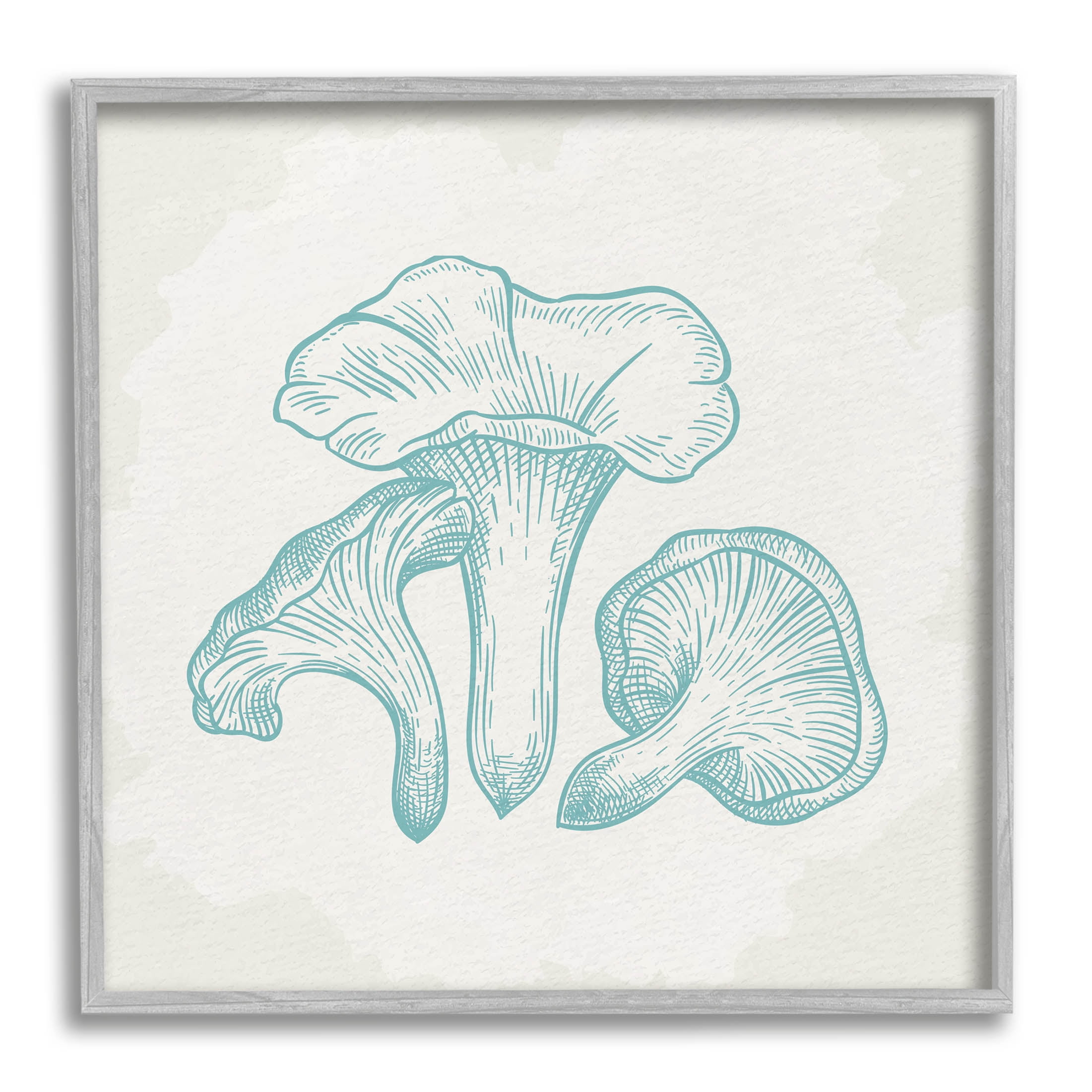 Stupell Industries Detailed Mushroom Specimen Botanicals Graphic Art Gray Framed Art Print Wall Art, Design by Kim Allen