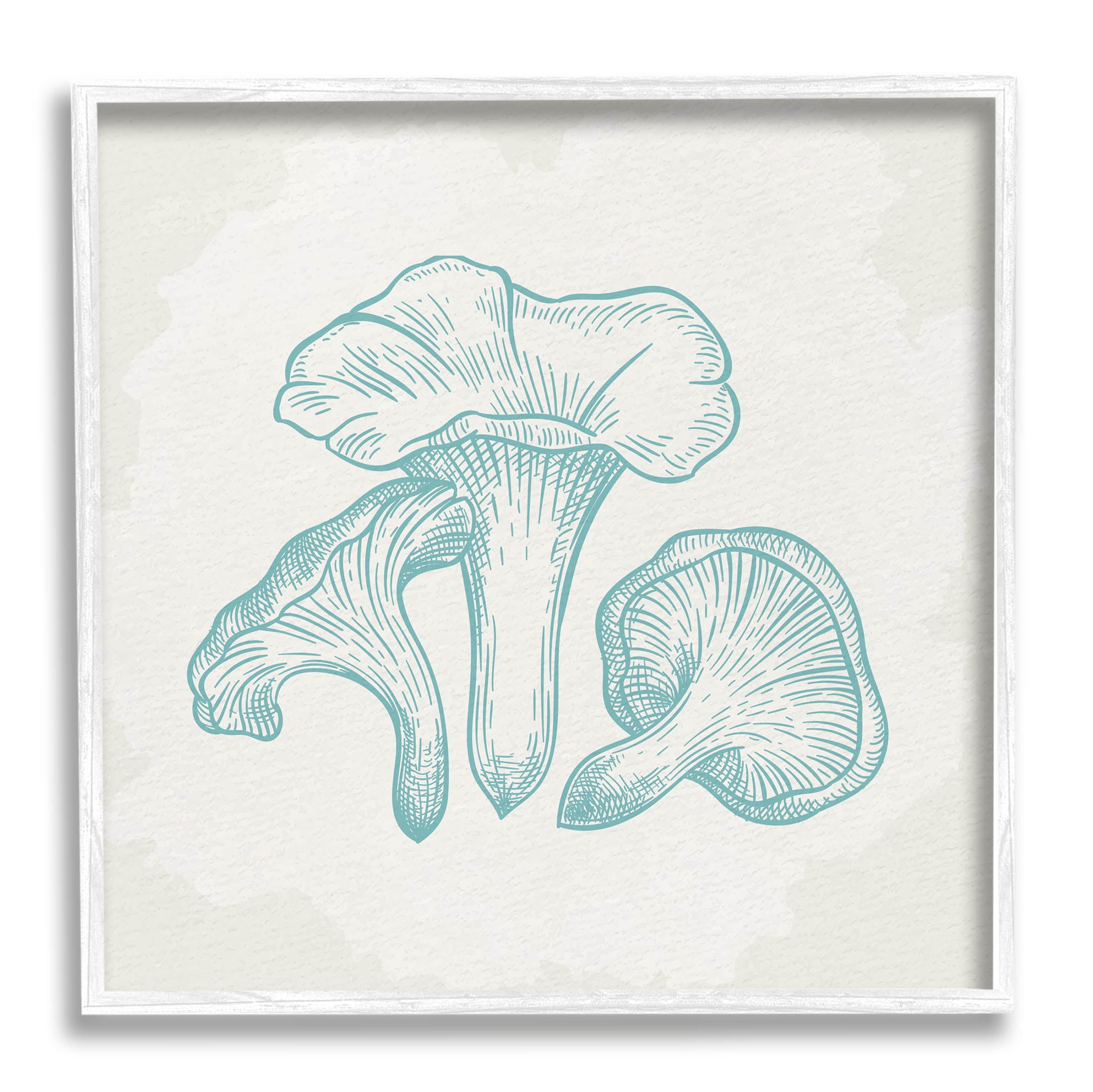 Stupell Industries Detailed Mushroom Specimen Botanicals Graphic Art White Framed Art Print Wall Art, Design by Kim Allen