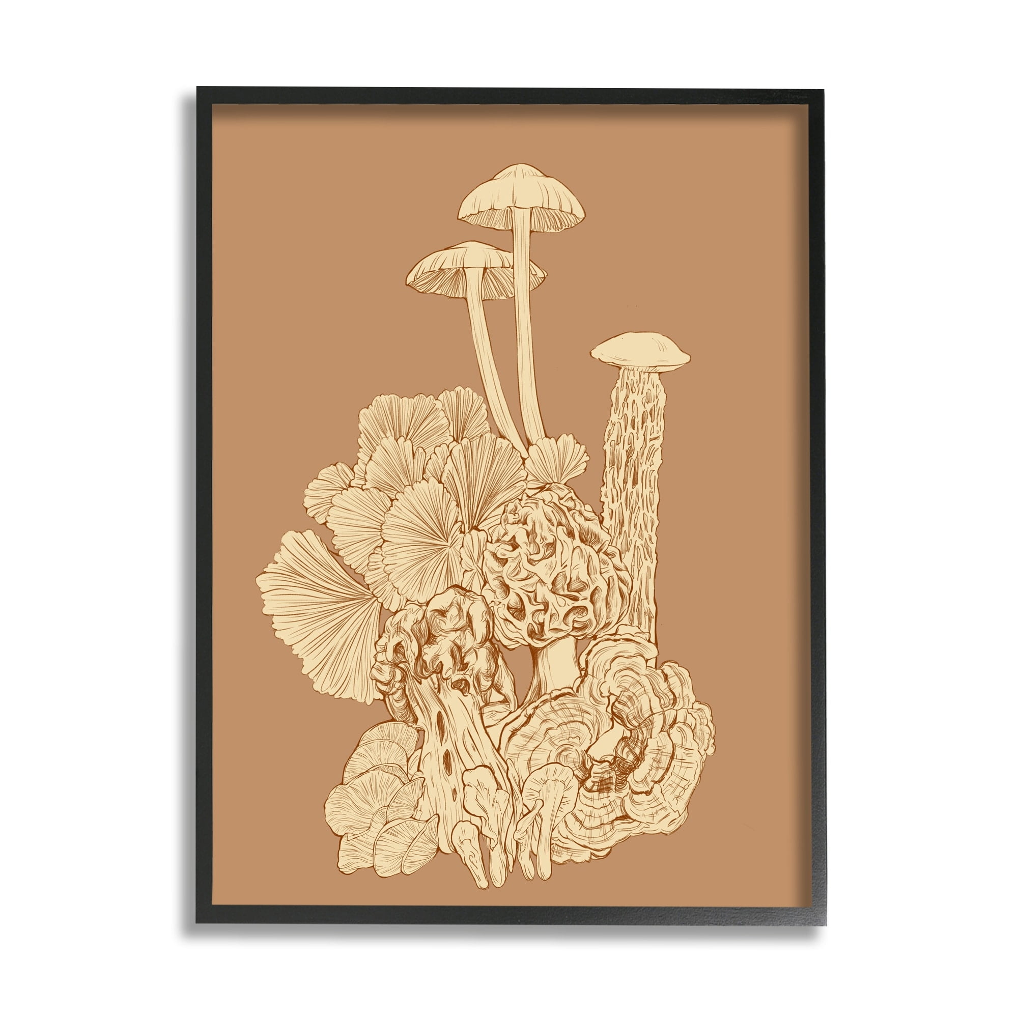 Stupell Industries Detailed Mushrooms Forest Flora Nature Plants Arrangement Graphic Art Black Framed Art Print Wall Art, Design by Ziwei Li