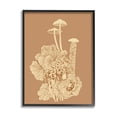 thumbnail image 1 of Stupell Industries Detailed Mushrooms Forest Flora Nature Plants Arrangement Graphic Art Black Framed Art Print Wall Art, Design by Ziwei Li, 1 of 5