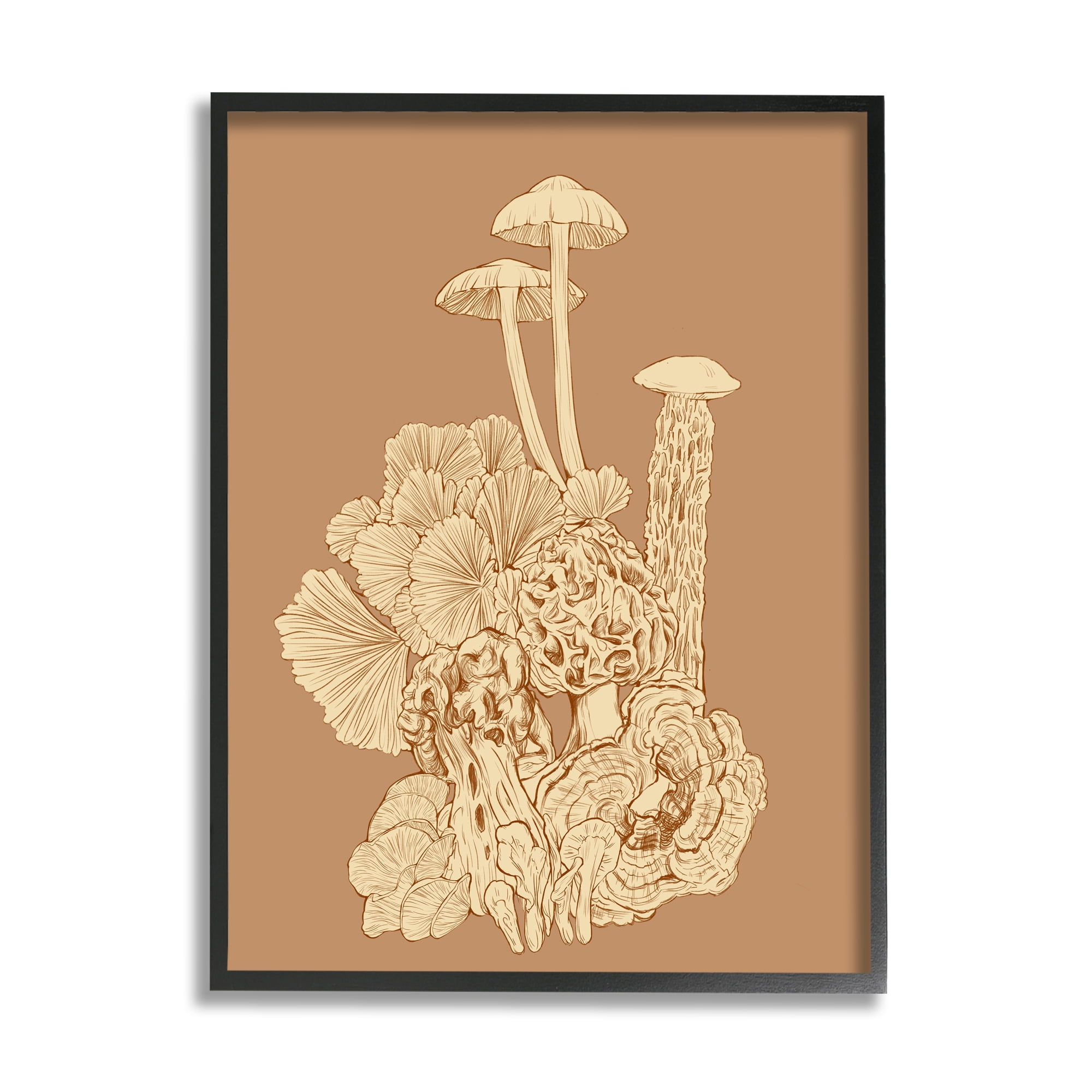 Stupell Industries Detailed Mushrooms Forest Flora Nature Plants  Arrangement Graphic Art Black Framed Art Print Wall Art, Design by Ziwei Li 