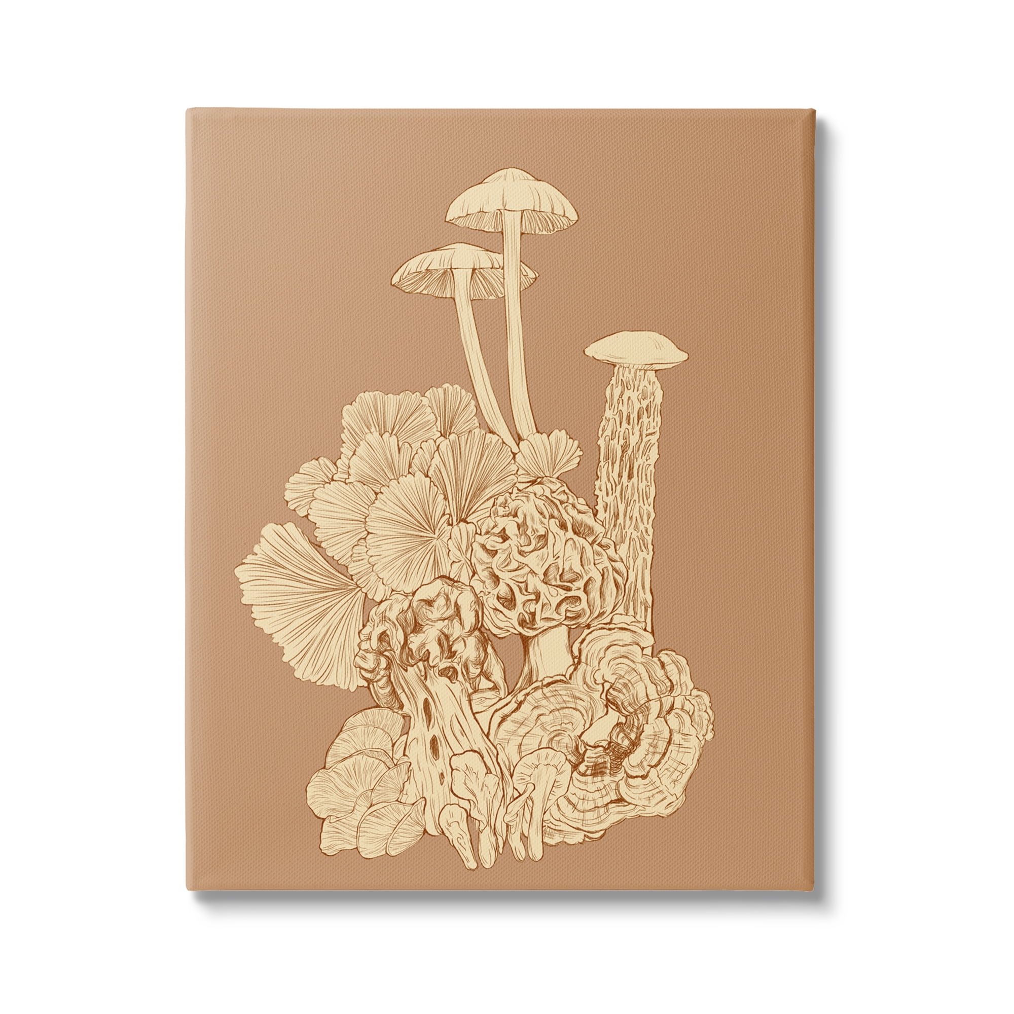 Stupell Industries Detailed Mushrooms Forest Flora Nature Plants Arrangement Graphic Art Gallery Wrapped Canvas Print Wall Art, Design by Ziwei Li