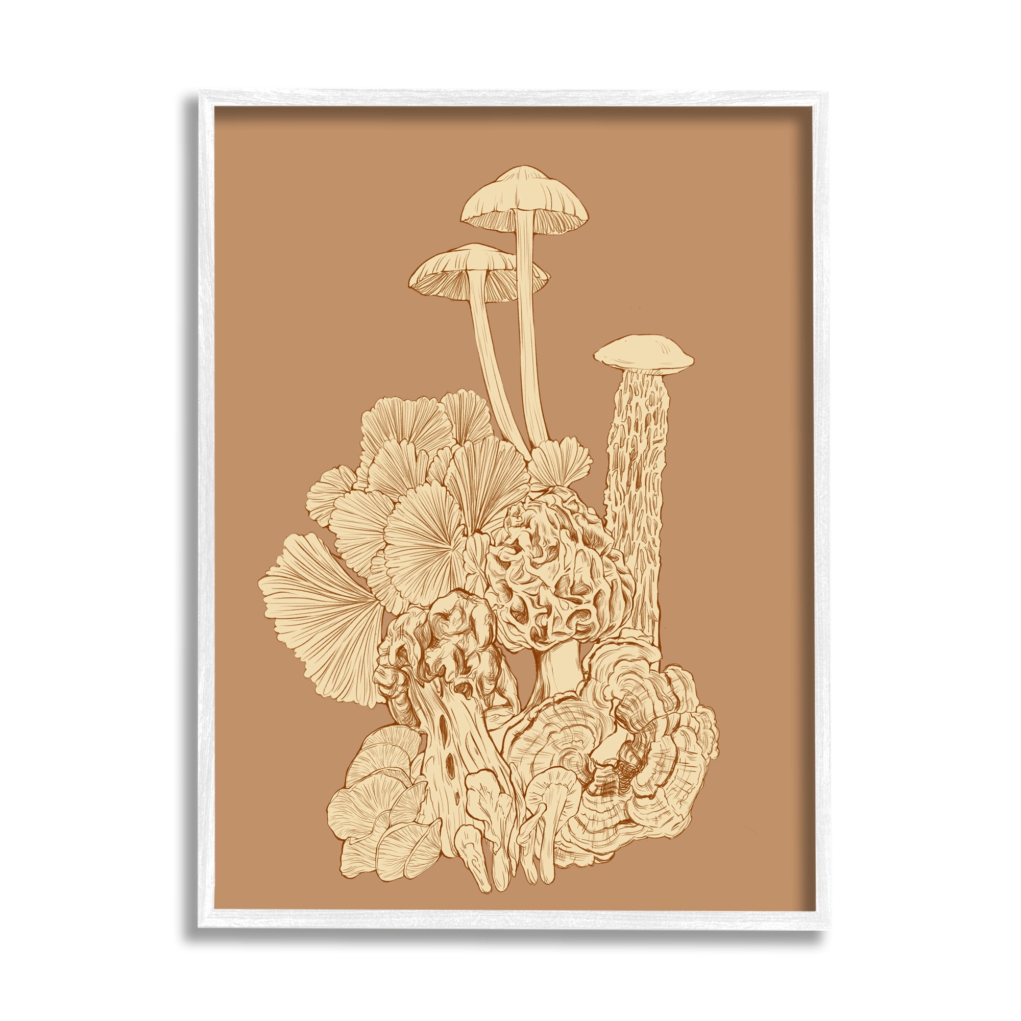 Stupell Industries Detailed Mushrooms Forest Flora Nature Plants Arrangement Graphic Art White Framed Art Print Wall Art, Design by Ziwei Li