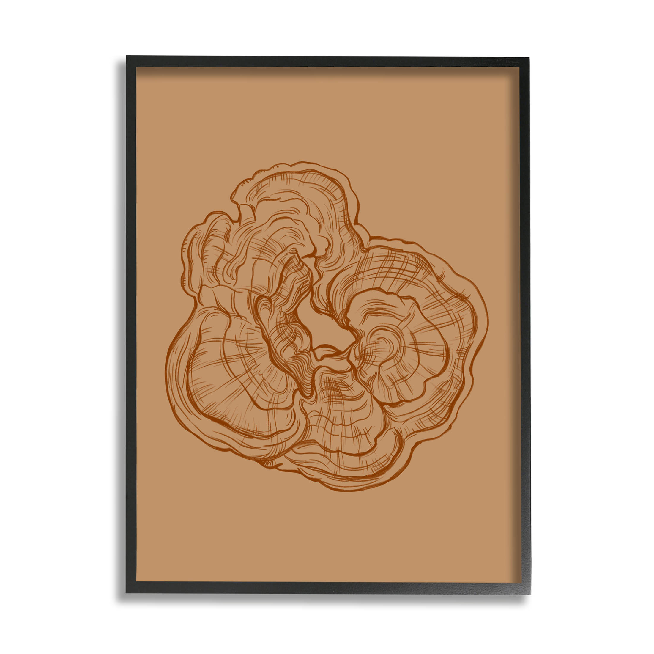 Stupell Industries Detailed Nature Botanical Fungus Graphic Art Black Framed Art Print Wall Art, Design by Ziwei Li