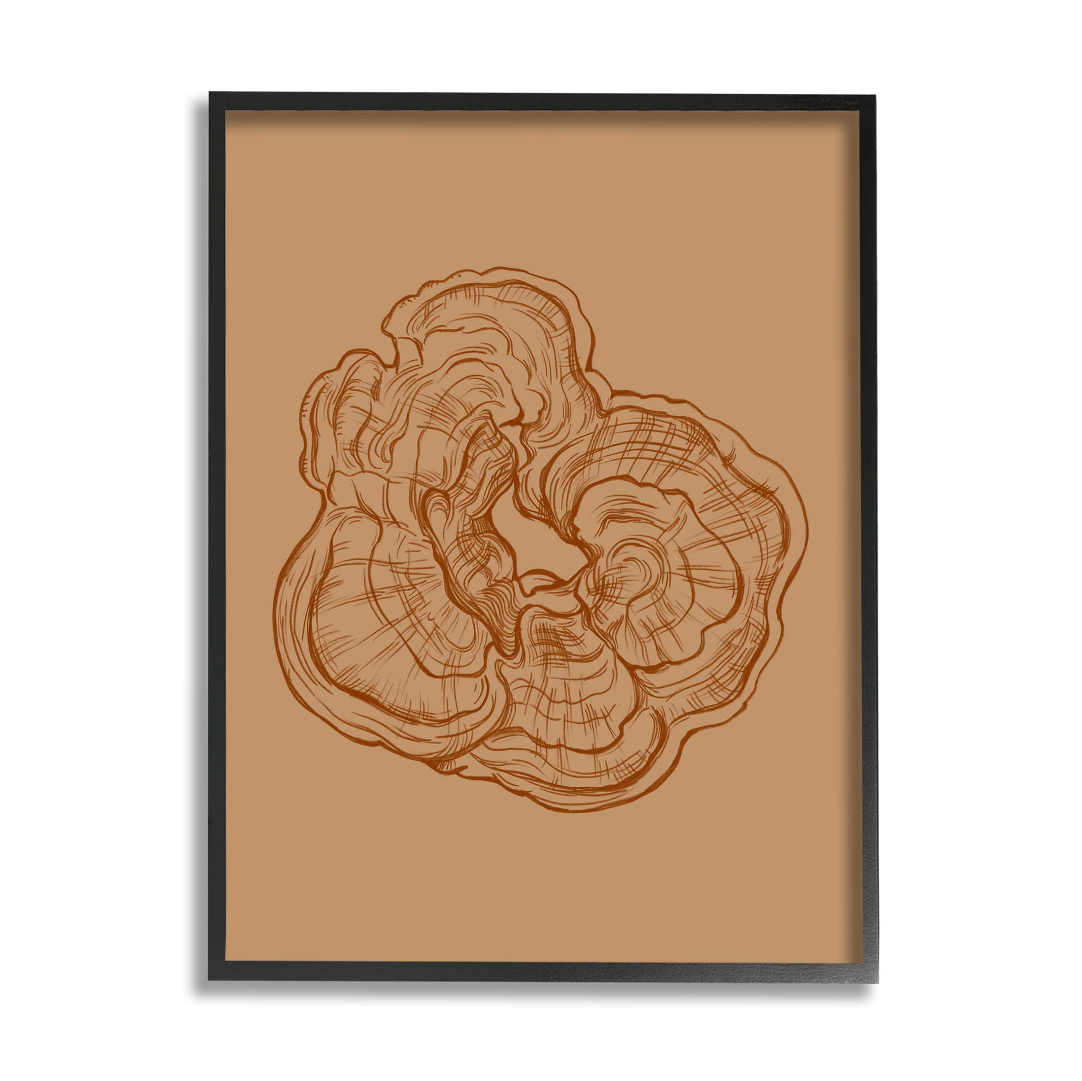 Stupell Industries Detailed Nature Botanical Fungus Graphic Art Black Framed Art Print Wall Art, Design by Ziwei Li