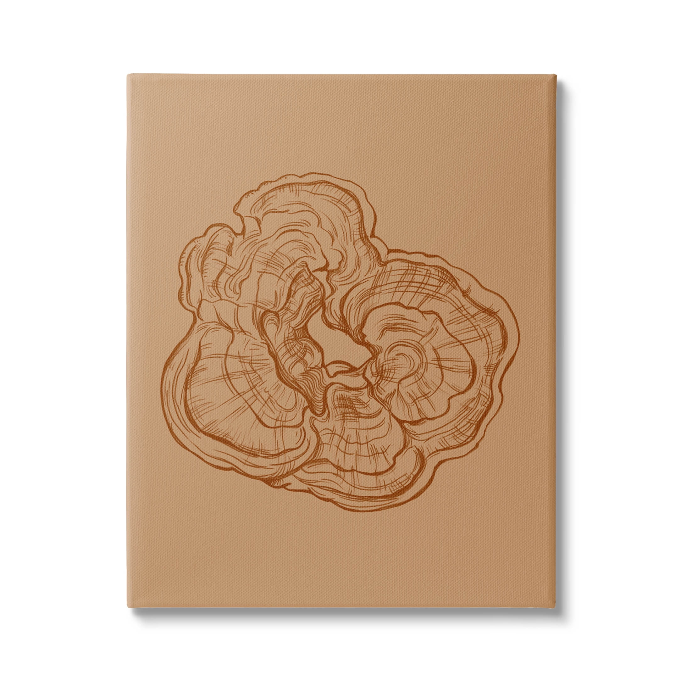 Stupell Industries Detailed Nature Botanical Fungus Graphic Art Gallery Wrapped Canvas Print Wall Art, Design by Ziwei Li