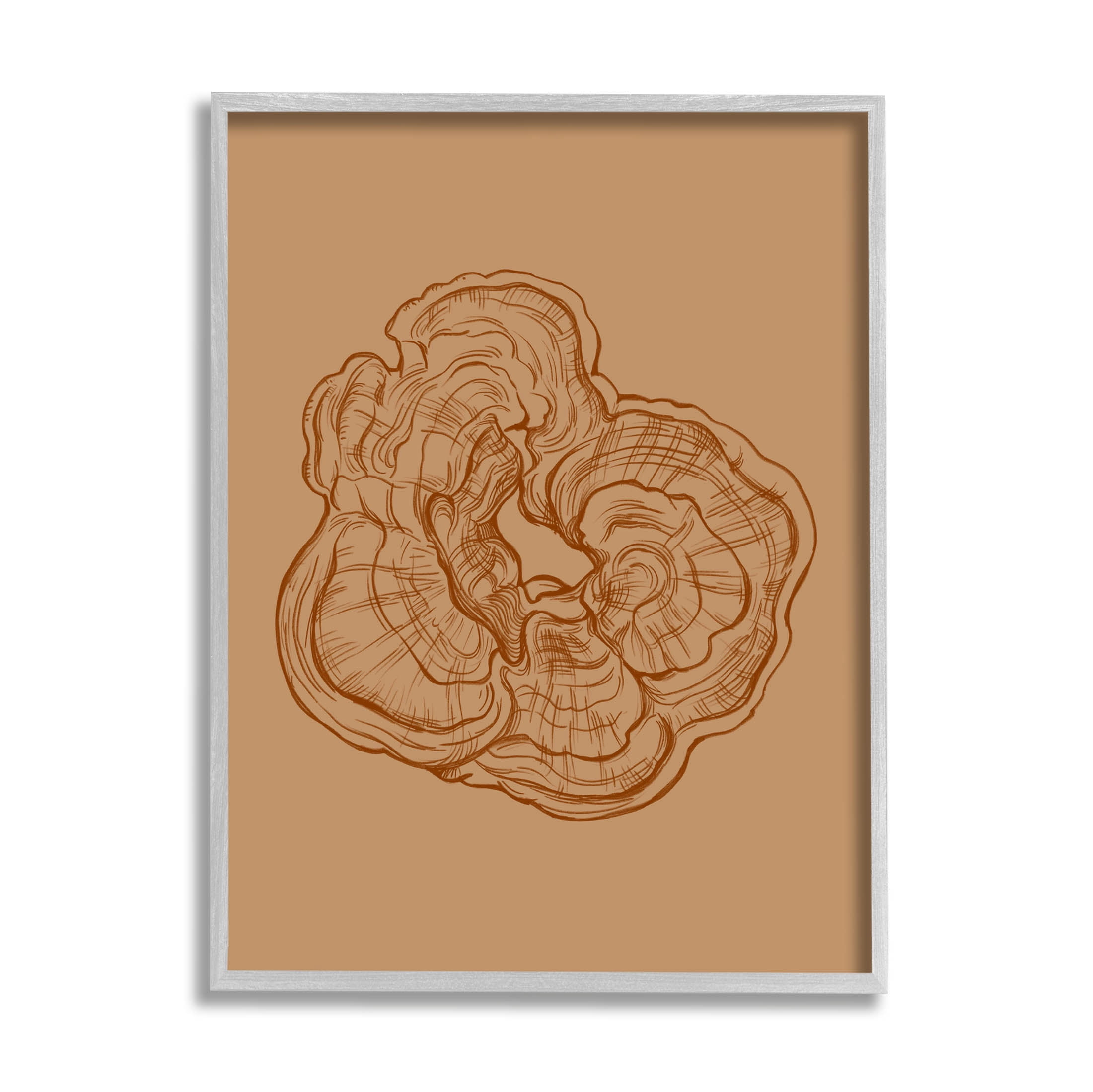 Stupell Industries Detailed Nature Botanical Fungus Graphic Art Gray Framed Art Print Wall Art, Design by Ziwei Li