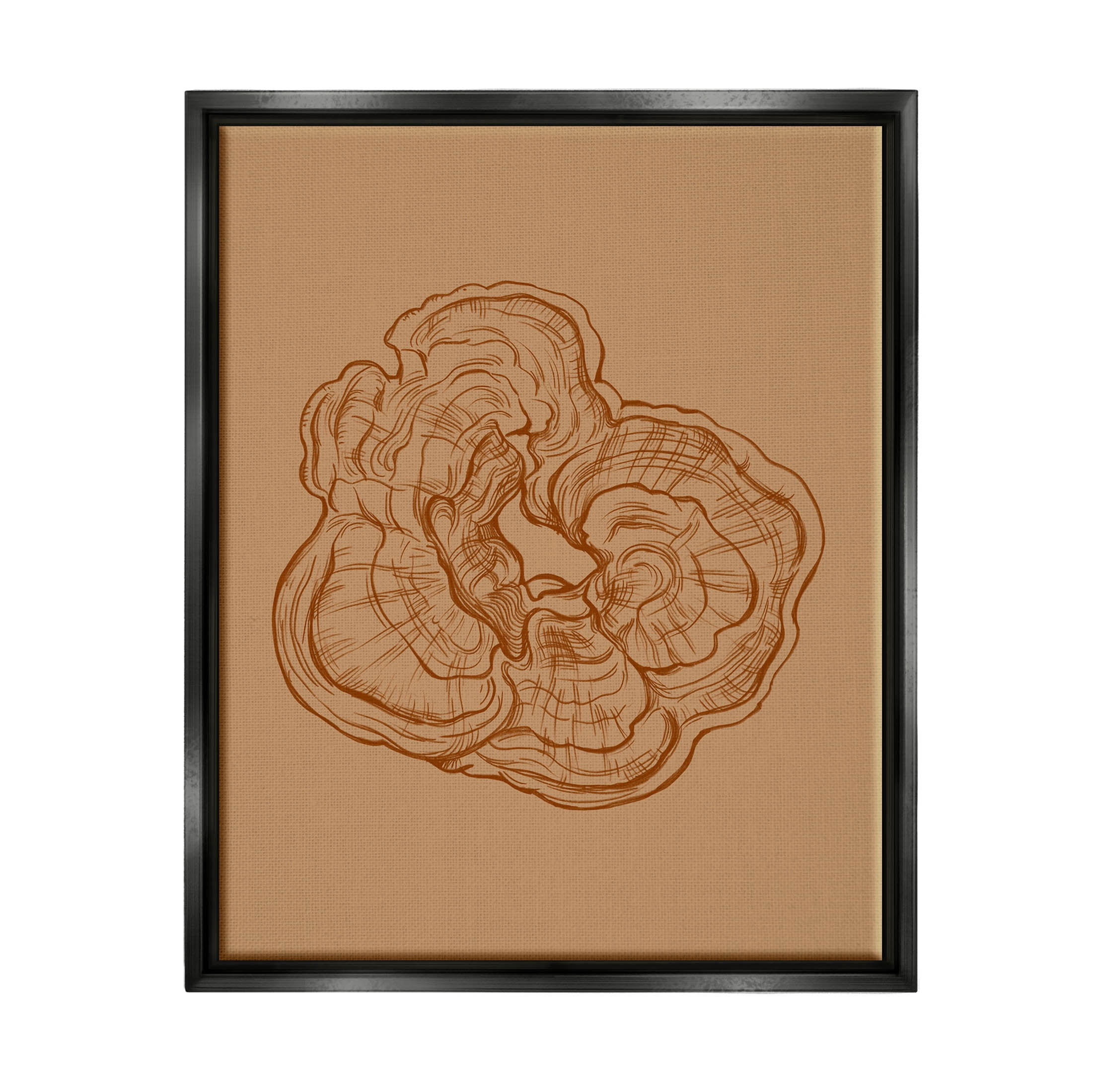 Stupell Industries Detailed Nature Botanical Fungus Graphic Art Jet Black Floating Framed Canvas Print Wall Art, Design by Ziwei Li