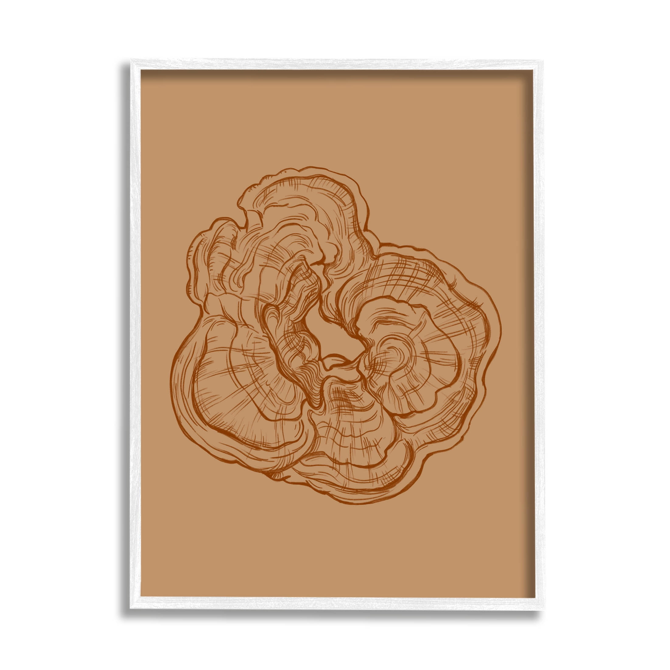 Stupell Industries Detailed Nature Botanical Fungus Graphic Art White Framed Art Print Wall Art, Design by Ziwei Li