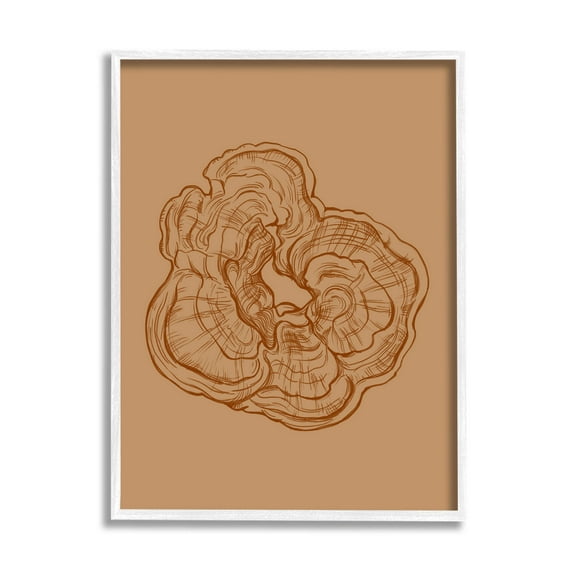 Stupell Industries Detailed Nature Botanical Fungus Graphic Art White Framed Art Print Wall Art, Design by Ziwei Li