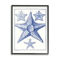 Stupell Industries Detailed Nautical Starfish Study Graphic Art Black Framed Art Print Wall Art, Design by Vision Studio