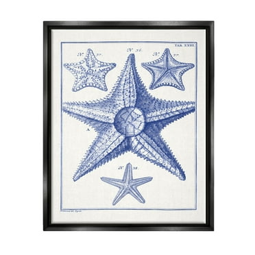 Stupell Industries Detailed Nautical Starfish Study Graphic Art Jet Black Floating Framed Canvas Print Wall Art, Design by Vision Studio