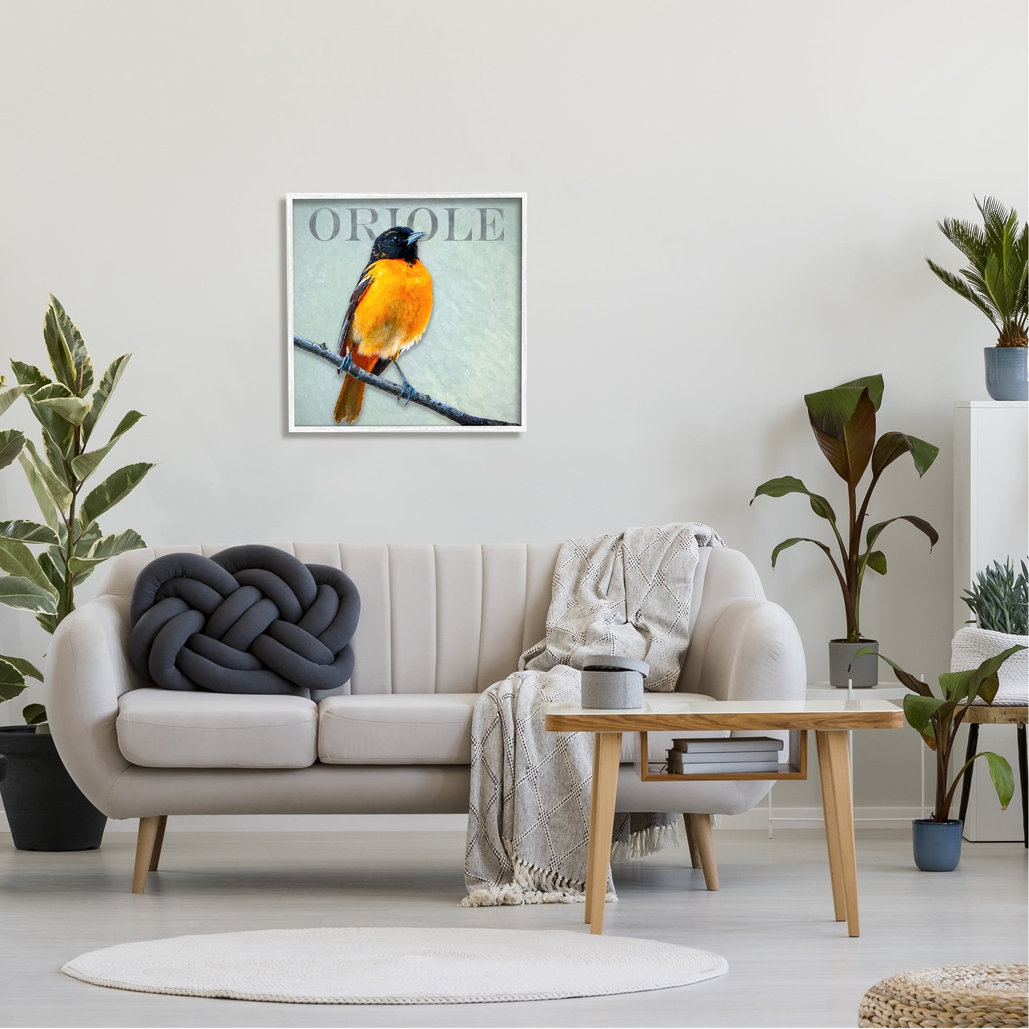 Stupell Industries Detailed Oriole Bird Portrait Perched Wildlife Animal Graphic Art White Framed Art Print Wall Art, Design by Alpenglow Workshop