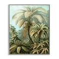 thumbnail image 1 of Stupell Industries Detailed Palm Tree Leaves Landscape & Nature Painting Gray Framed Art Print Wall Art, 16 x 20, 1 of 2