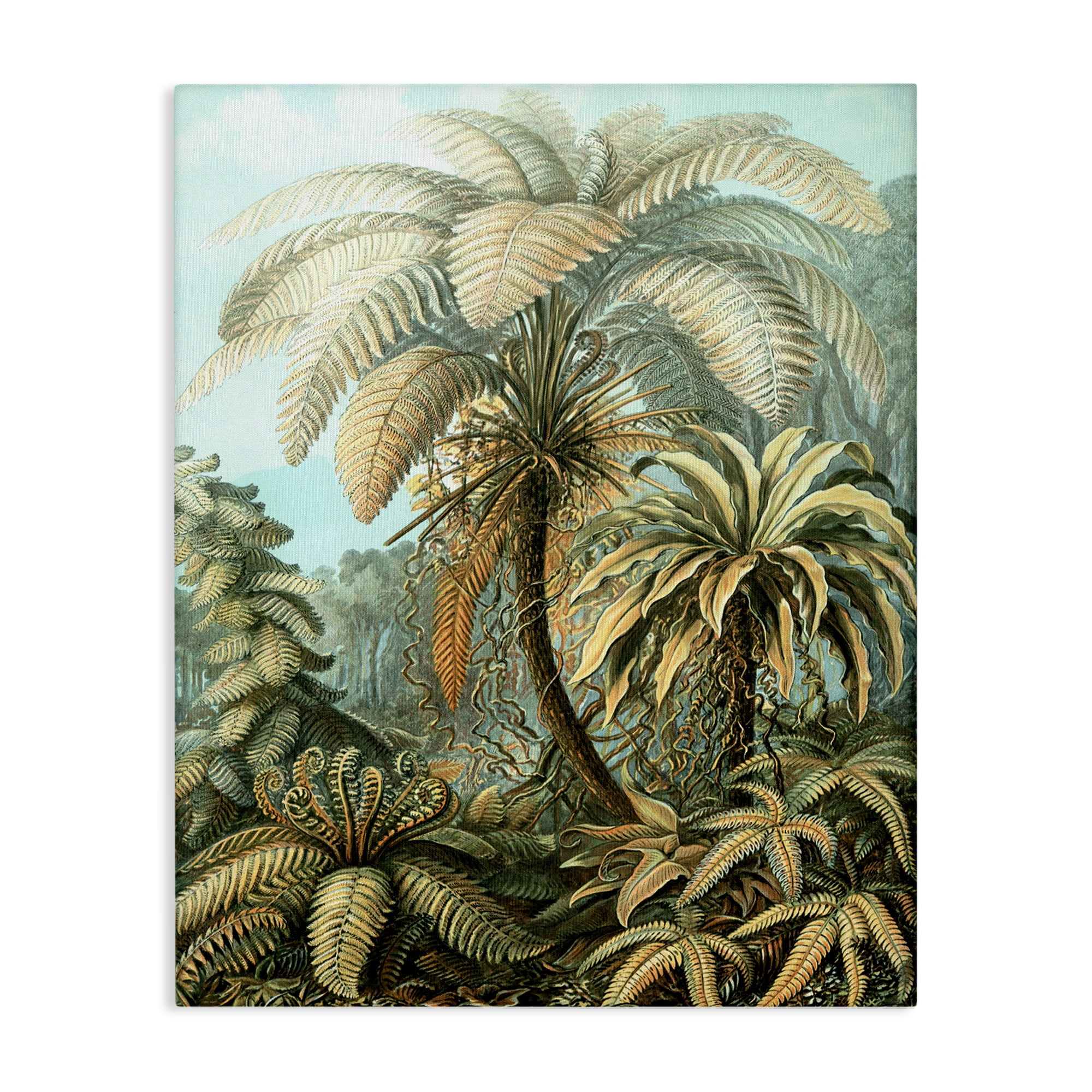 Stupell Industries Detailed Palm Tree Leaves Landscape & Nature Painting Wrapped Canvas Art Print Wall Art, 16 x 20
