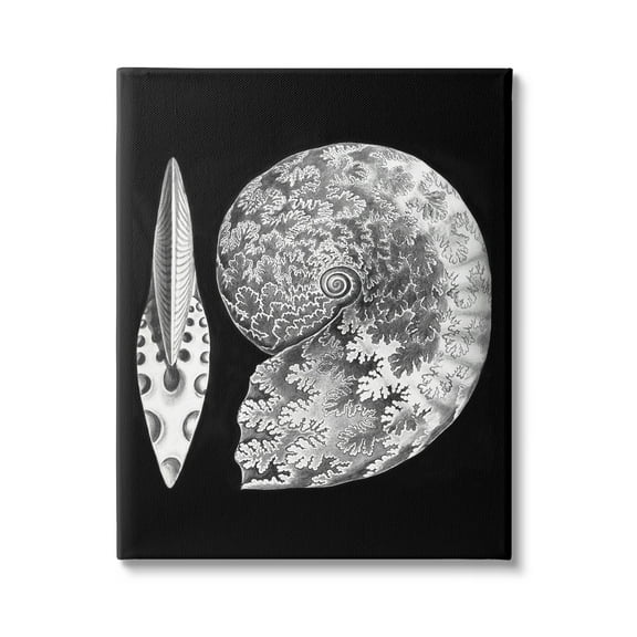Stupell Industries Detailed Patterned Nautilus Spiral Seashell Modern Design Graphic Art Gallery Wrapped Canvas Print Wall Art, Design by Graffitee Studios