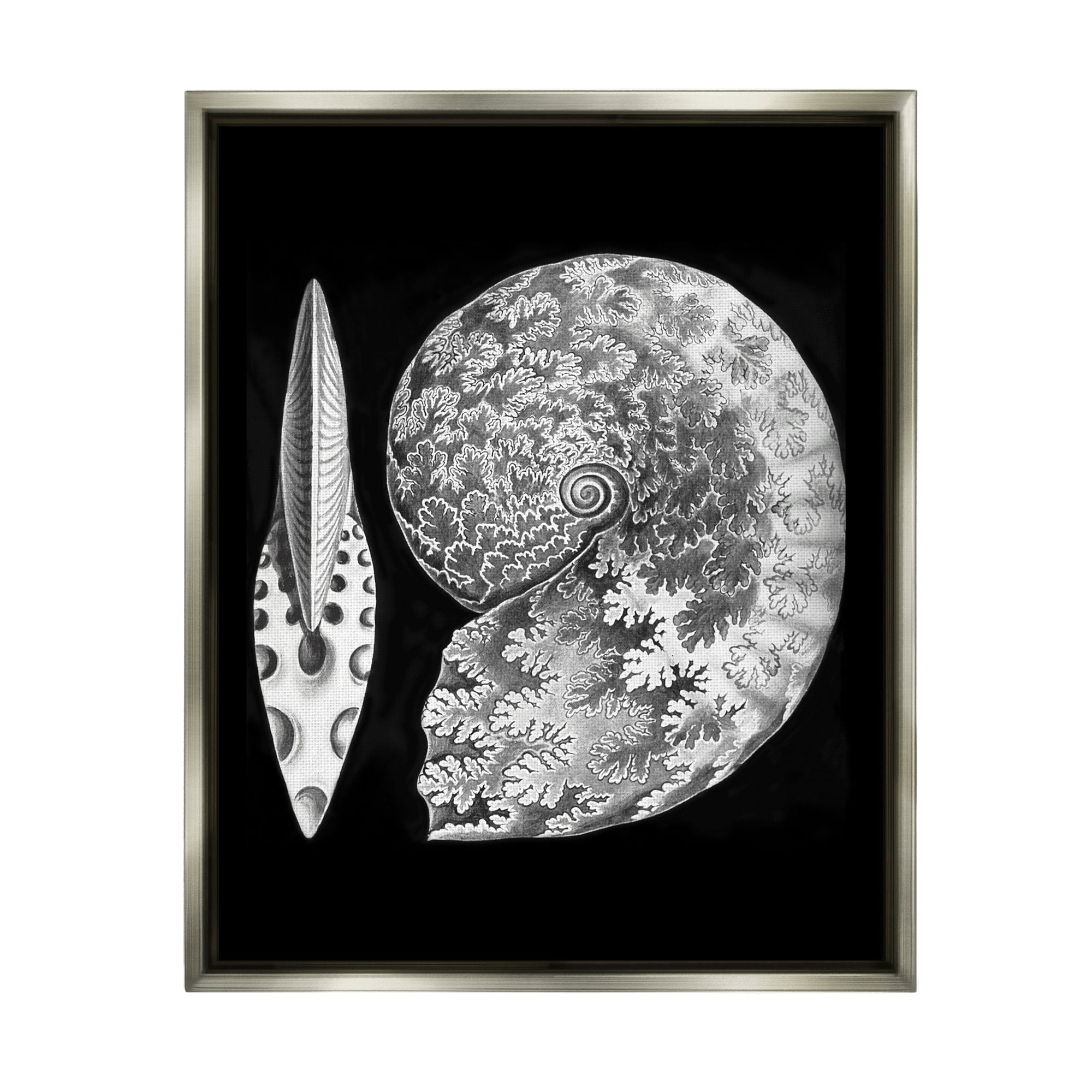 Stupell Industries Detailed Patterned Nautilus Spiral Seashell Modern Design Graphic Art Luster Gray Floating Framed Canvas Print Wall Art, Design by Graffitee Studios