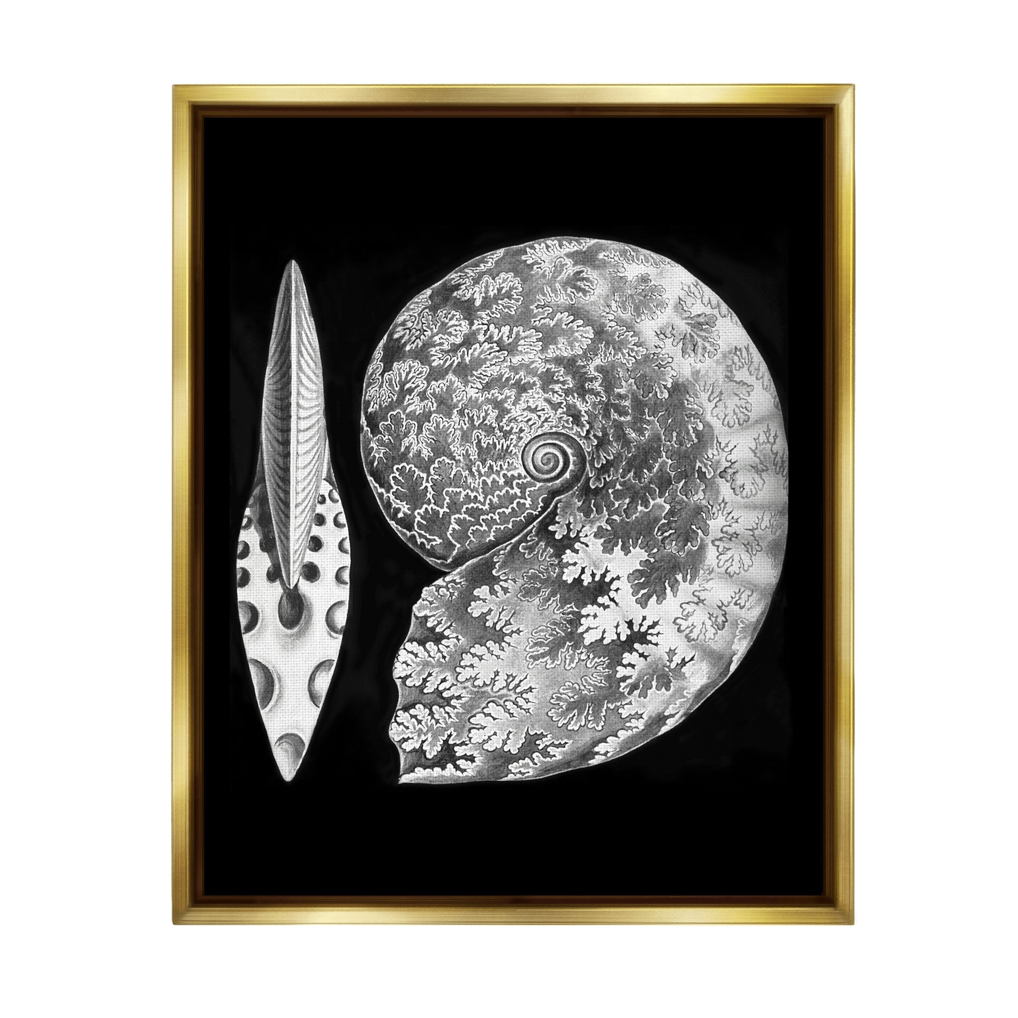 Stupell Industries Detailed Patterned Nautilus Spiral Seashell Modern Design Graphic Art Metallic Gold Floating Framed Canvas Print Wall Art, Design by Graffitee Studios