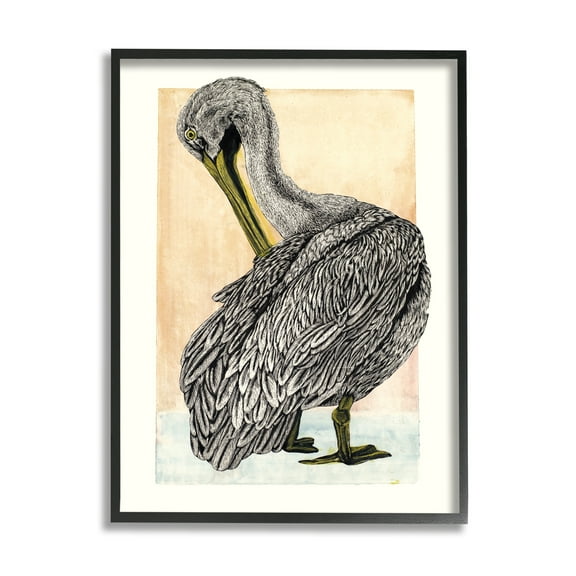 Stupell Industries Detailed Pelican Drawing Animals & Insects Drawing Black Framed Art Print Wall Art, 11 x 14