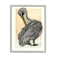 thumbnail image 1 of Stupell Industries Detailed Pelican Drawing Animals & Insects Drawing Gray Framed Art Print Wall Art, 11 x 14, 1 of 8