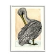thumbnail image 1 of Stupell Industries Detailed Pelican Drawing Animals & Insects Drawing White Framed Art Print Wall Art, 11 x 14, 1 of 8