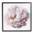 thumbnail image 1 of Stupell Industries Detailed Peony Petals Graphic Art Black Framed Art Print Wall Art, Design by Ziwei Li, 1 of 7