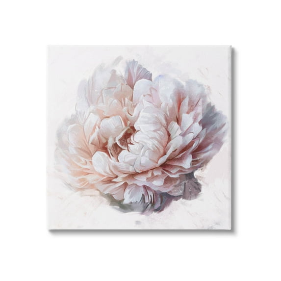 Stupell Industries Detailed Peony Petals Graphic Art Gallery Wrapped Canvas Print Wall Art, Design by Ziwei Li