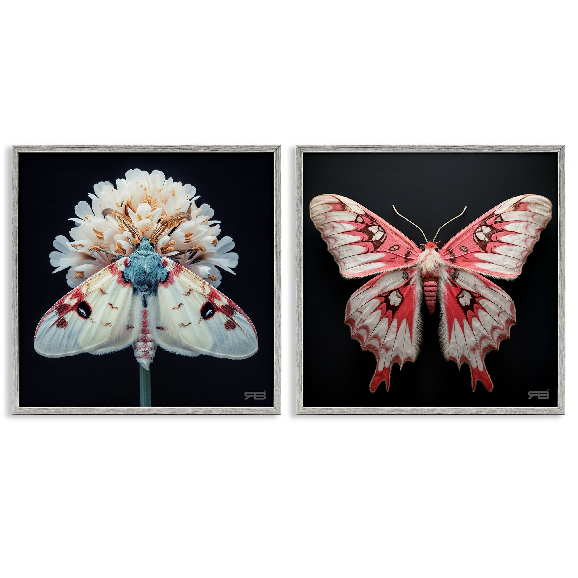 Stupell Industries Detailed Pink Moths Flower Animals Painting Gray Framed Art Print Wall Art, 12 x 12, Set of 2