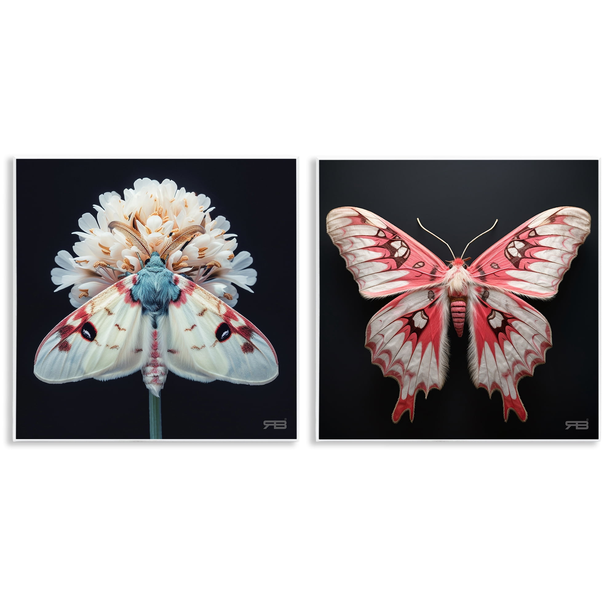 Stupell Industries Detailed Pink Moths Flower Animals Painting Unframed Art Print Wall Art, 12 x 12, Set of 2