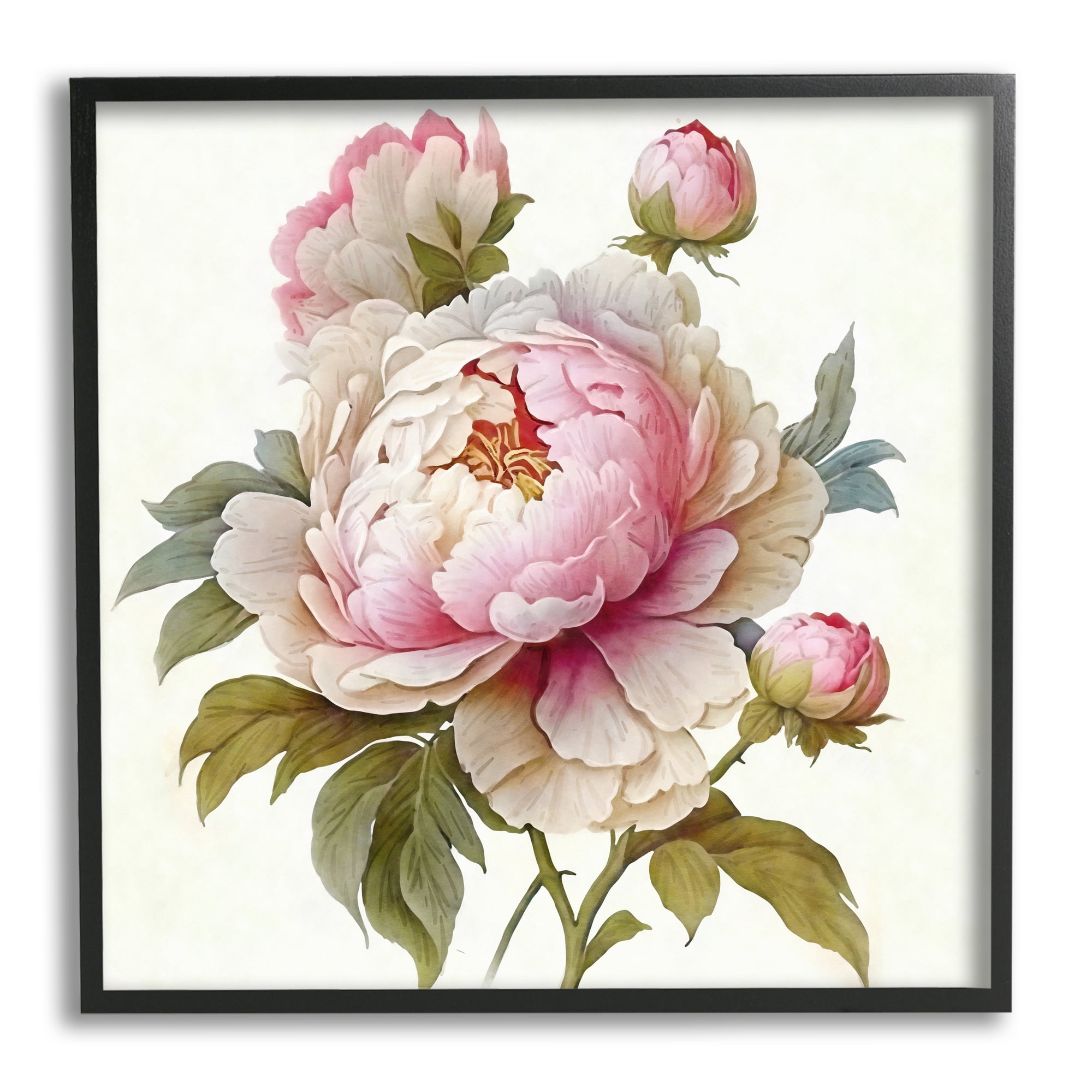Stupell Industries Detailed Pink Peony Flower Buds Botanical & Floral Painting Black Framed Art Print Wall Art