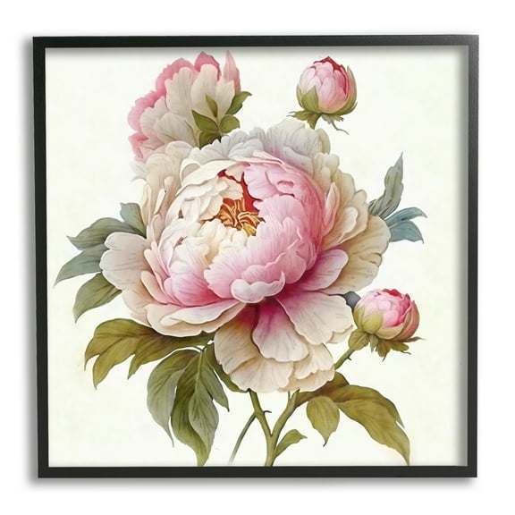 Stupell Industries Detailed Pink Peony Flower Buds Botanical & Floral Painting Black Framed Art Print Wall Art