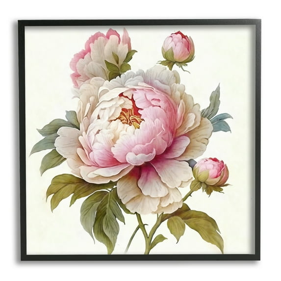 Stupell Industries Detailed Pink Peony Flower Buds Botanical & Floral Painting Black Framed Art Print Wall Art