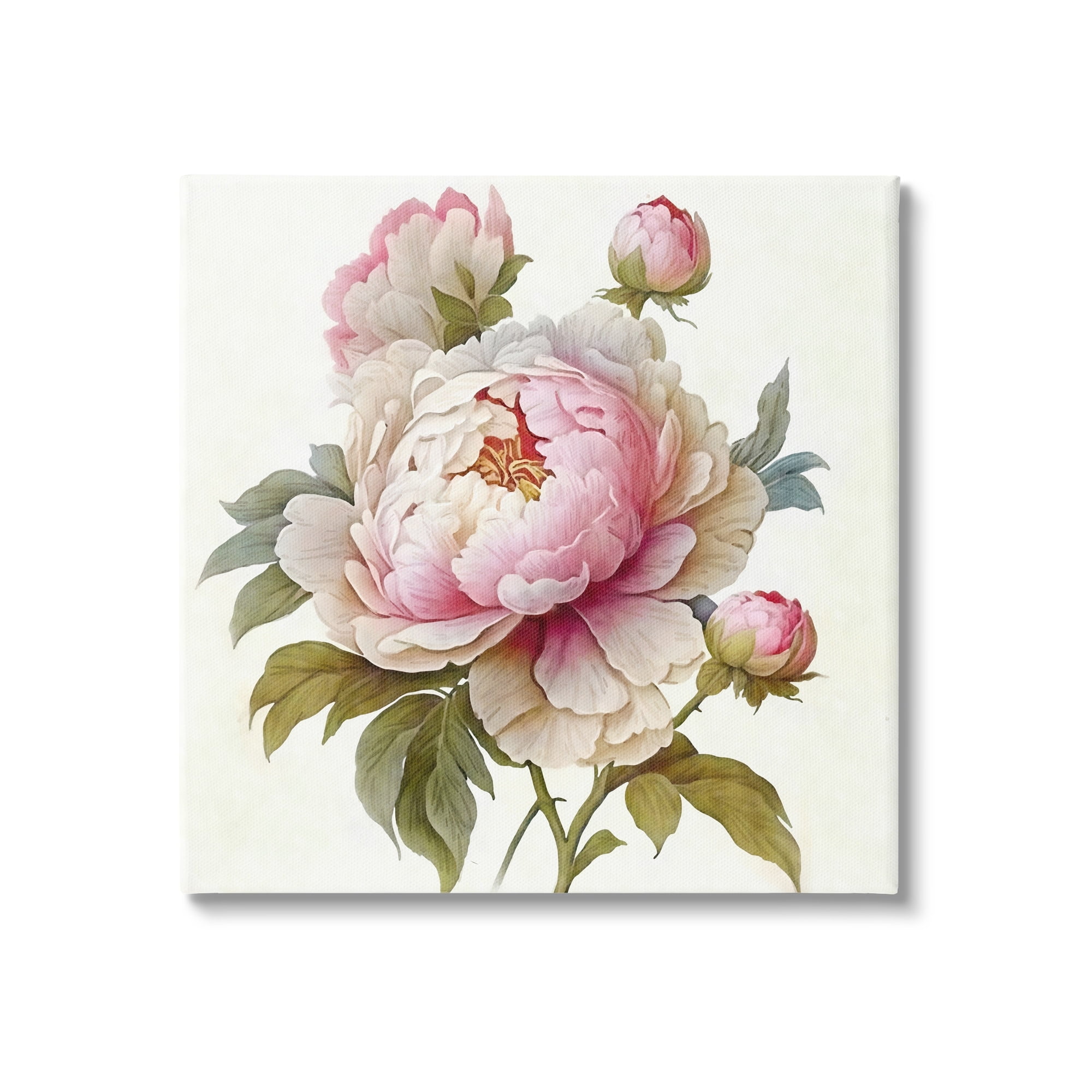 Stupell Industries Detailed Pink Peony Flower Buds Botanical & Floral Painting Gallery Wrapped Canvas Print Wall Art